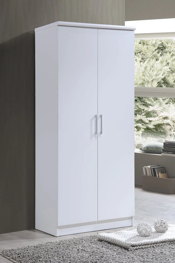 2 door Wardrobe In Dubai